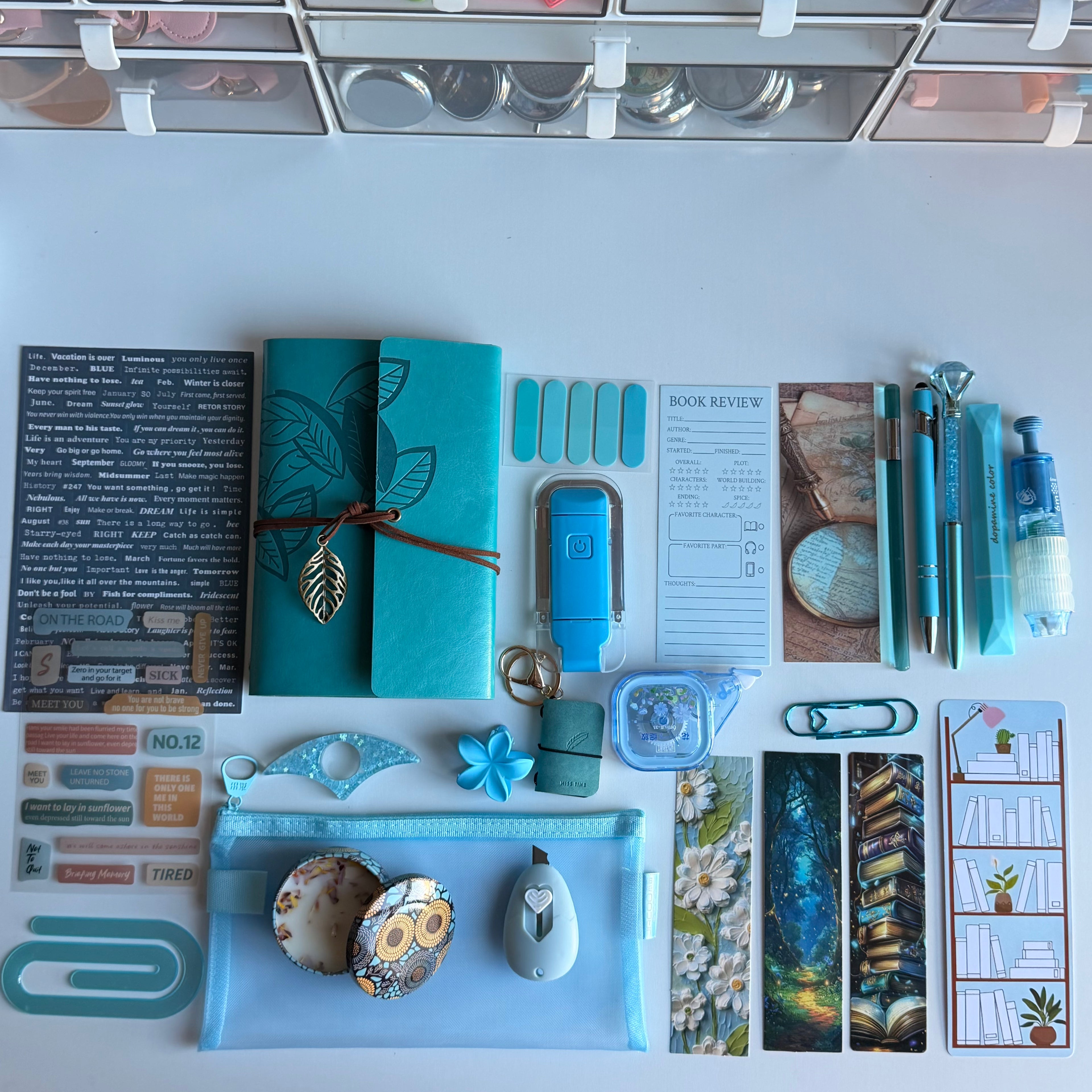 Enchanted Teal Dreams — Bookish Bundle