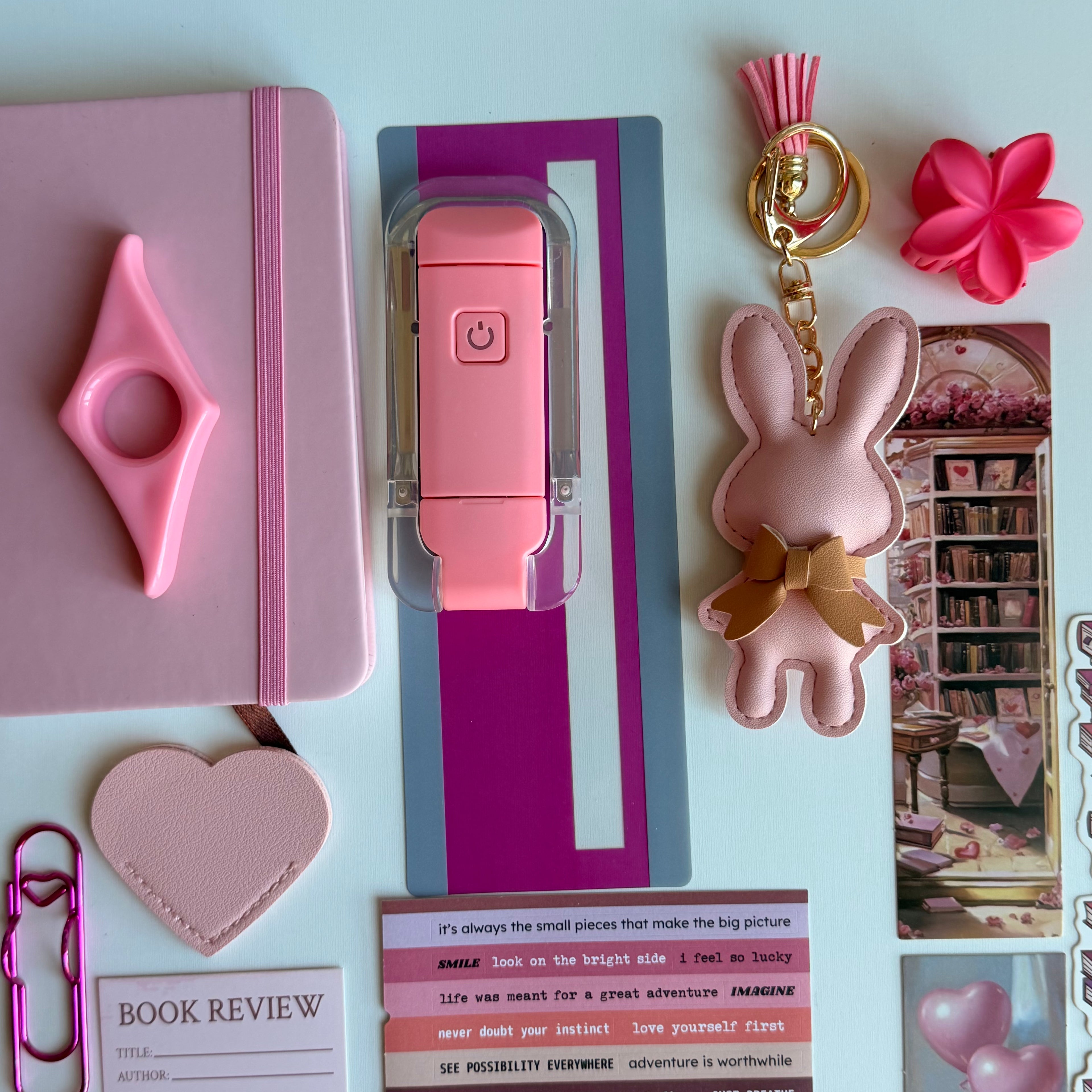 PINK bookish bundle